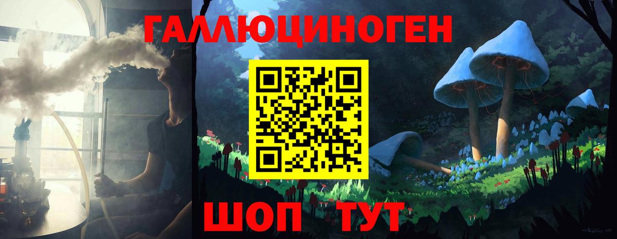 Омск  Псилоцибиновые грибы Psilocybine cubensis  Вход с VPN 