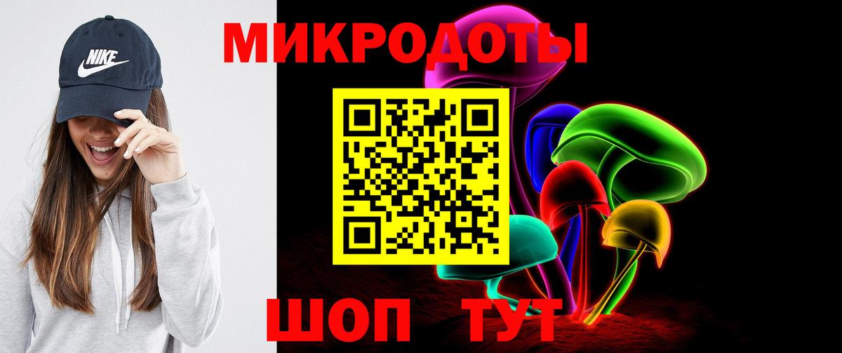 Псилоцибиновые грибы Psilocybe Омск