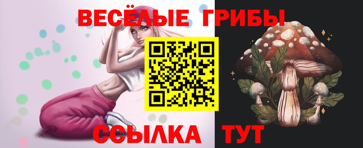 Меф   Кокаин  Вход с VPN  А ПВП СК кристаллы  ГАШ  Каннабис  Омск  Бошки Шишки 